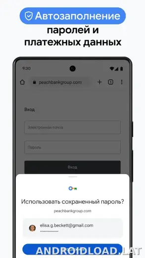 Google Chrome скриншот 6